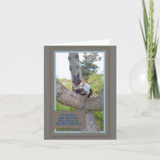 リスのカードを取る カード