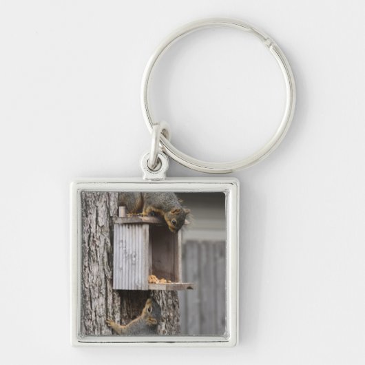リスのキーチェーン キーホルダー (正面)