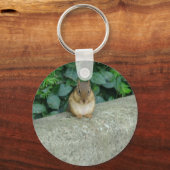 リスのキーチェーン キーホルダー (正面)