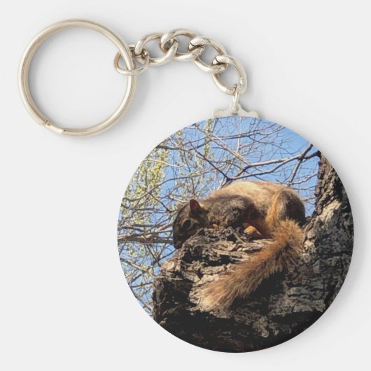 リスのキーチェーン キーホルダー (正面)