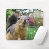 リスのクローズアップ マウスパッド (マウス)