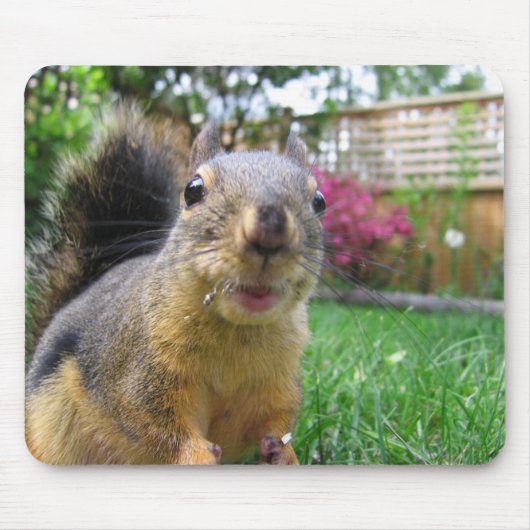 リスのクローズアップ マウスパッド (正面)