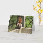 リスのグリーティングカード カード (黄色い花)