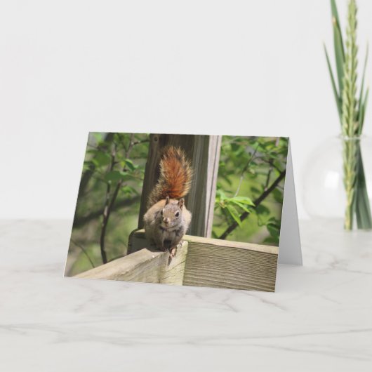リスのグリーティングカード カード (正面)