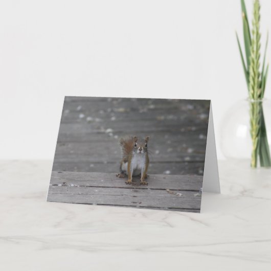 リスのグリーティングカード カード (正面)
