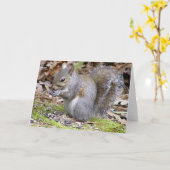 リスのグリーティングカード カード (黄色い花)