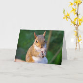 リスのグリーティングカード カード (黄色い花)