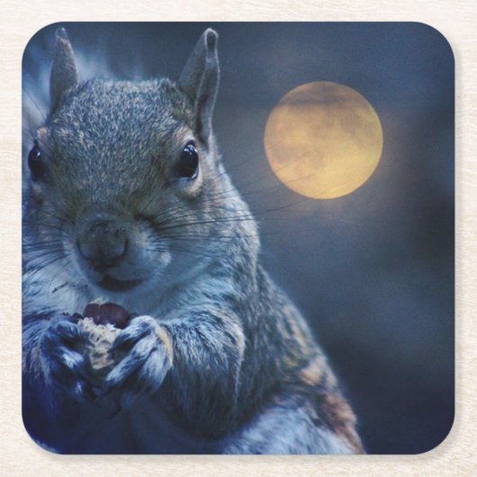 リスのコースター スクエアペーパーコースター (正面)