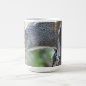 リスのコーヒーマグ コーヒーマグカップ (中央)