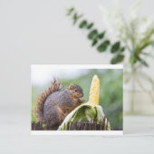 リスのコーン ポストカード (スタンド正面)