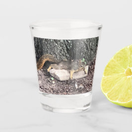 リスのショットグラス ショットグラス