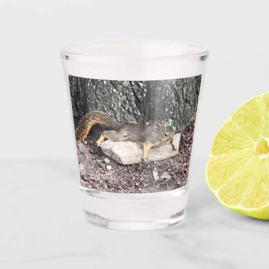 リスのショットグラス ショットグラス (正面)
