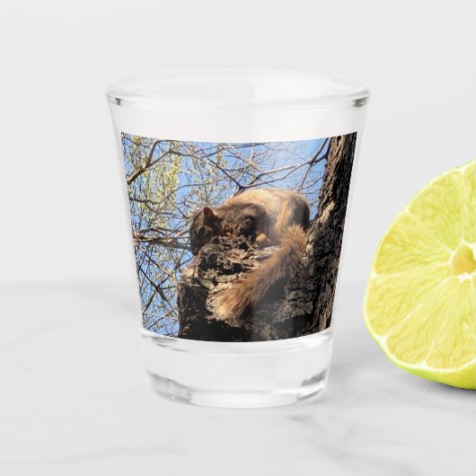 リスのショットグラス ショットグラス (正面)