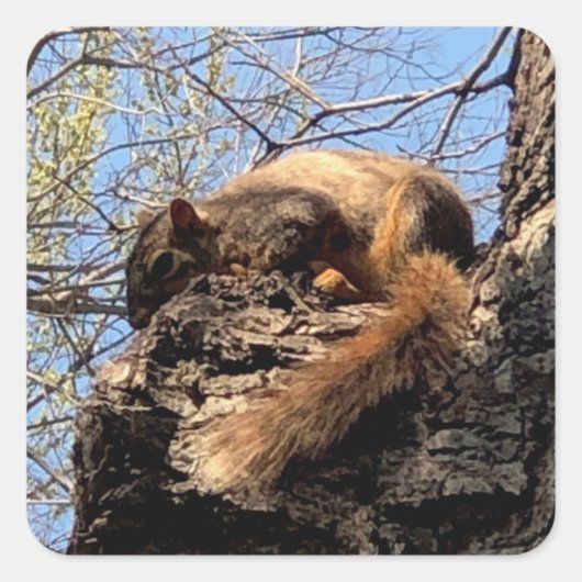 リスのシール スクエアシール (正面)