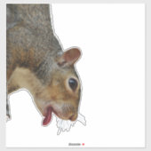 リスのステッカー シール (シート)