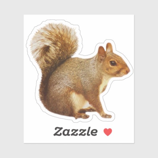 リスのステッカー シール (シート)