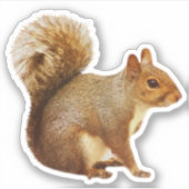 リスのステッカー シール (正面)
