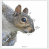 リスのステッカー シール (シート)