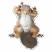 リスのステッカー シール (正面)