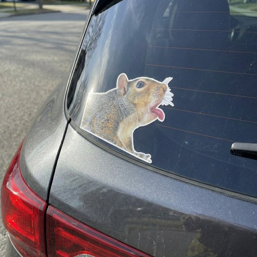 リスのステッカー シール