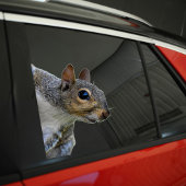 リスのステッカー シール