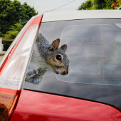 リスのステッカー シール