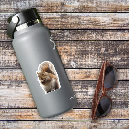 リスのステッカー シール