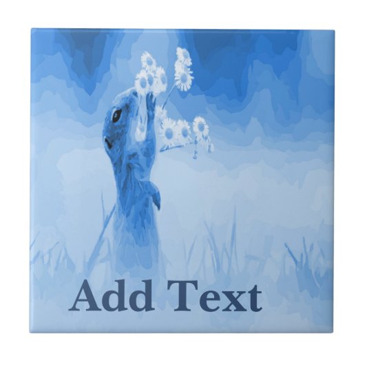 リスのタイル、オランダの外観、個人設定 タイル (正面)