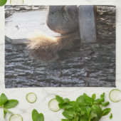 リスのタオル キッチンタオル (折り畳み)