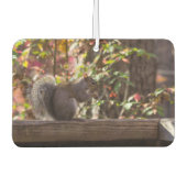 リスのチョウ時間 カーエアーフレッシュナー (正面)