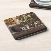 リスのチョウ時間 コースター (左側)