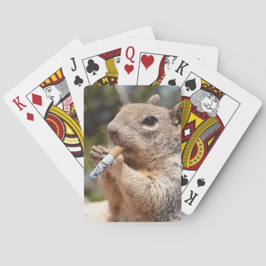 リスのトランプ トランプ (裏面)