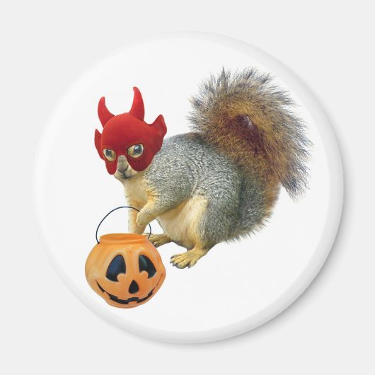 リスのトリックまたは治療 マグネット (正面)