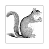 リスのナットのヴィンテージ検証 ラバースタンプ (インプリント)