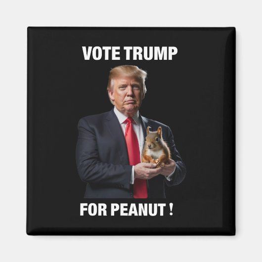 リスのピーナッツにトランプの投票3 マグネット (正面)