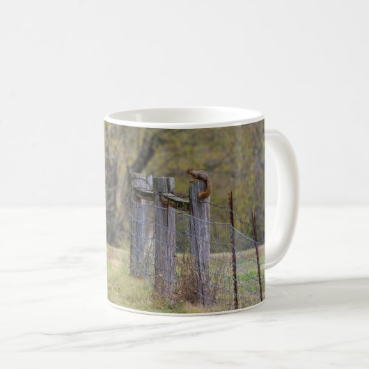 リスのフェンスのポーズコーヒーマグ コーヒーマグカップ (正面右)