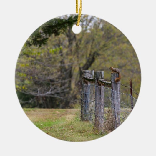 リスのフェンスのポーズ セラミックオーナメント (正面)