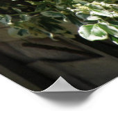 リスのフェンスプリント ポスター (角)