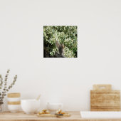 リスのフェンスプリント ポスター (キッチン)