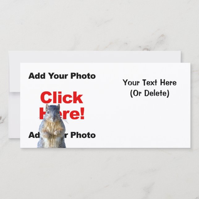 リスのフォトカカスタムードの追加 (正面)