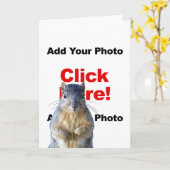 リスのフォトグリーティカスタムングカードを追加する カード (黄色い花)