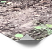 リスのポスター ポスター (角)