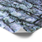 リスのポスター ポスター (角)