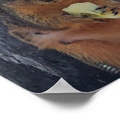 リスのポスター ポスター (角)