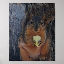 リスのポスター