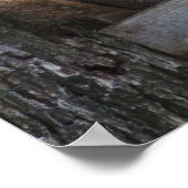 リスのポスター ポスター (角)