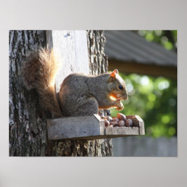 リスのポスター ポスター