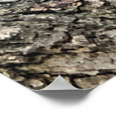 リスのポスター ポスター (角)