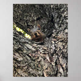 リスのポスター ポスター