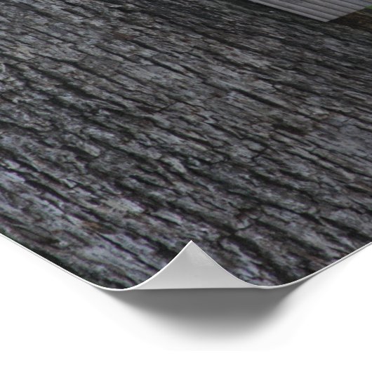 リスのポスター ポスター (角)